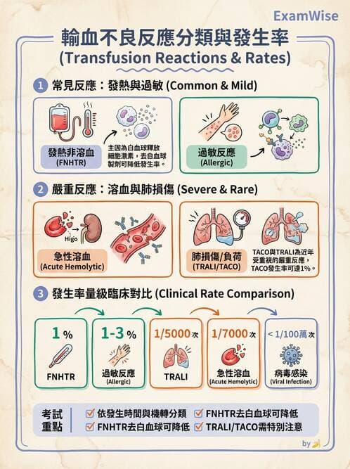 醫檢師 - 輸血反應與血庫品管 - AI 圖文解析預覽