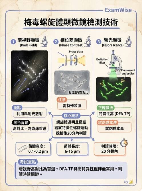 醫檢師 - 顯微鏡原理與操作 - AI 圖文解析預覽
