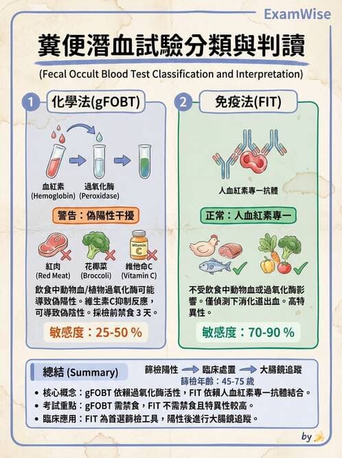 醫檢師 - 糞便常規檢查 - AI 圖文解析預覽