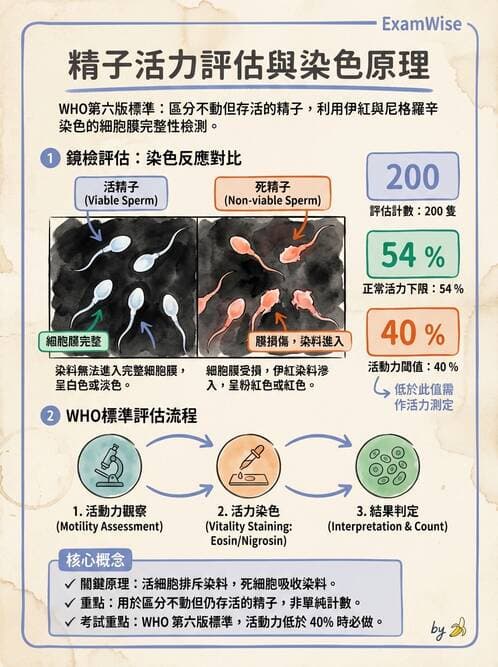 醫檢師 - 精液檢查 - AI 圖文解析預覽
