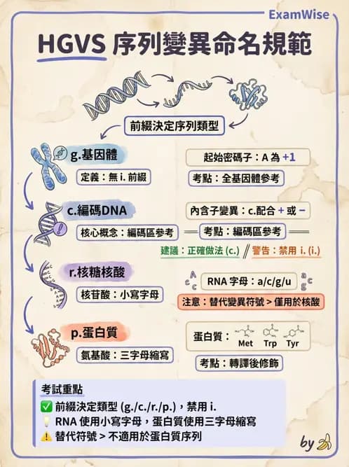 醫檢師 - 基礎分子生物學 - AI 圖文解析預覽