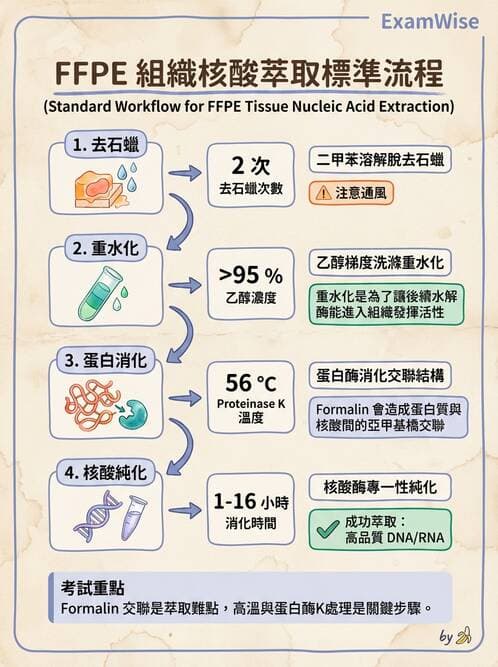 醫檢師 - 核酸擴增與萃取技術 - AI 圖文解析預覽