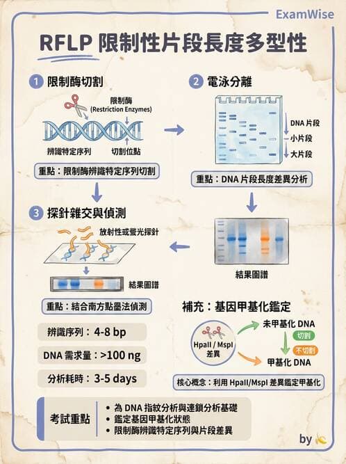 醫檢師 - 核酸擴增與萃取技術 - AI 圖文解析預覽