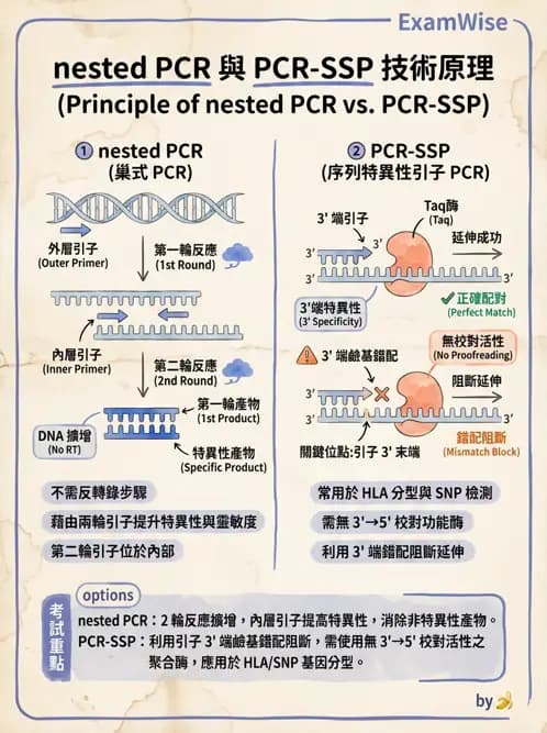 醫檢師 - 核酸擴增與萃取技術 - AI 圖文解析預覽