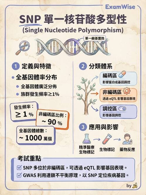 醫檢師 - 定序電泳與表觀分析 - AI 圖文解析預覽