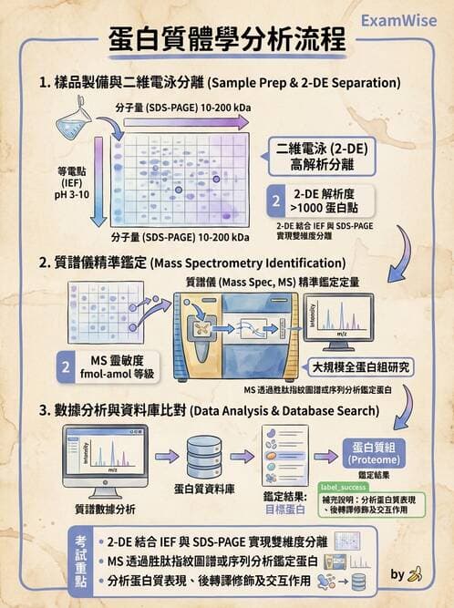醫檢師 - 分子鑑定與應用技術 - AI 圖文解析預覽
