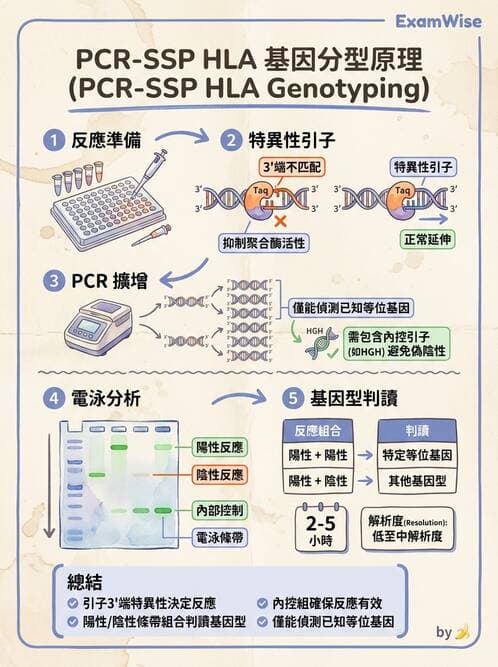 醫檢師 - 分子鑑定與應用技術 - AI 圖文解析預覽