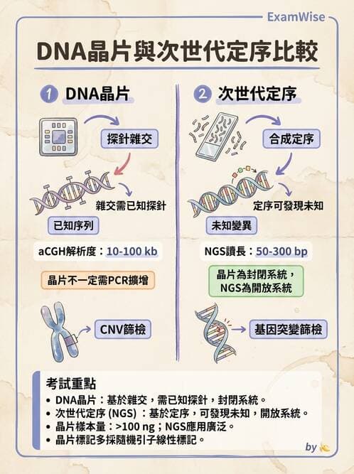 醫檢師 - 雜交探針與晶片技術 - AI 圖文解析預覽
