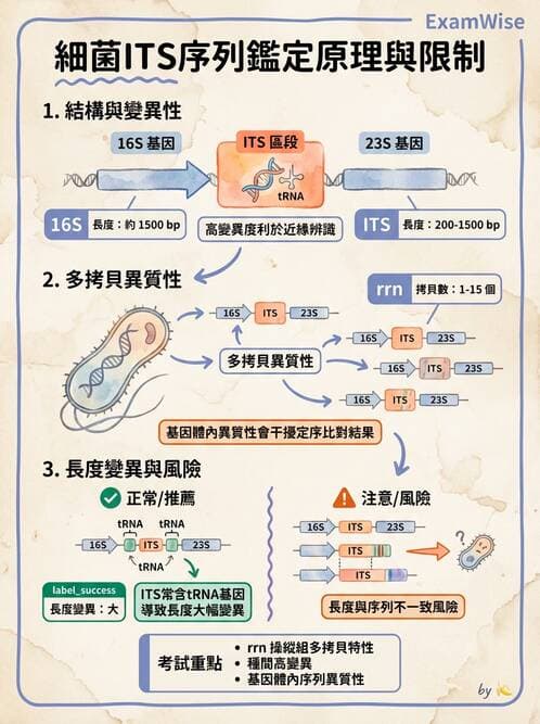 醫檢師 - 分子鑑定與應用技術 - AI 圖文解析預覽