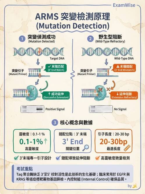 醫檢師 - 腫瘤疾病基因檢測 - AI 圖文解析預覽