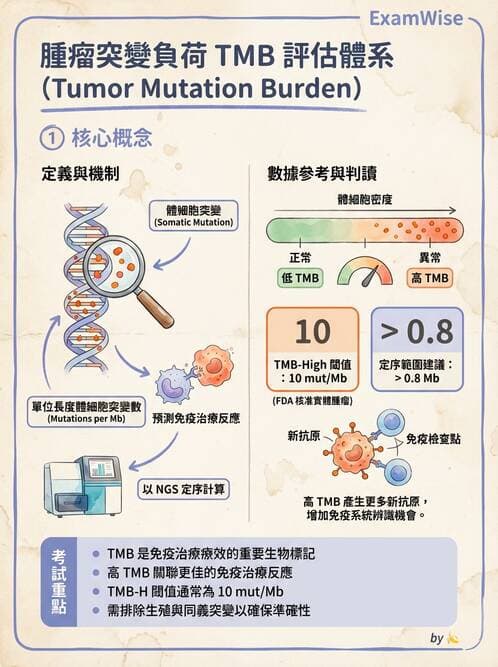 醫檢師 - 腫瘤疾病基因檢測 - AI 圖文解析預覽