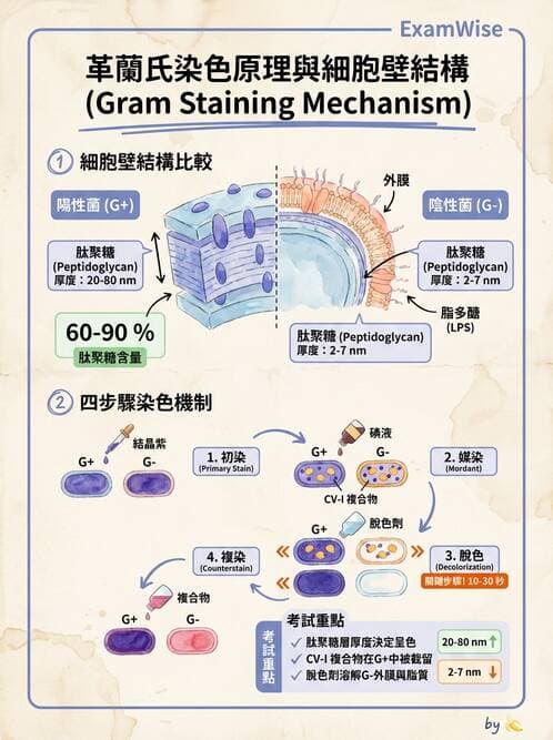 醫檢師 - 檢驗基礎技術 - AI 圖文解析預覽