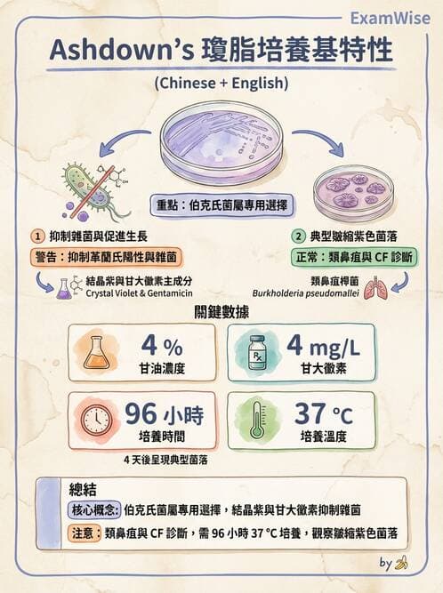 醫檢師 - 非發酵菌 - AI 圖文解析預覽