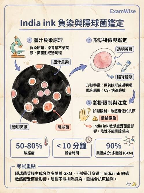 醫檢師 - 系統性與機會性真菌感染 - AI 圖文解析預覽