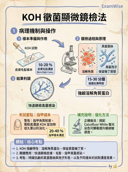醫檢師 - 檢驗基礎技術 - AI 圖文解析預覽