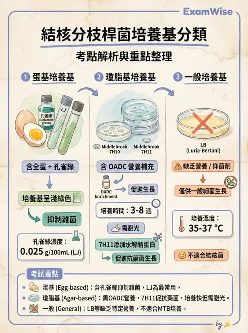 醫檢師 - 分枝桿菌 - AI 圖文解析預覽