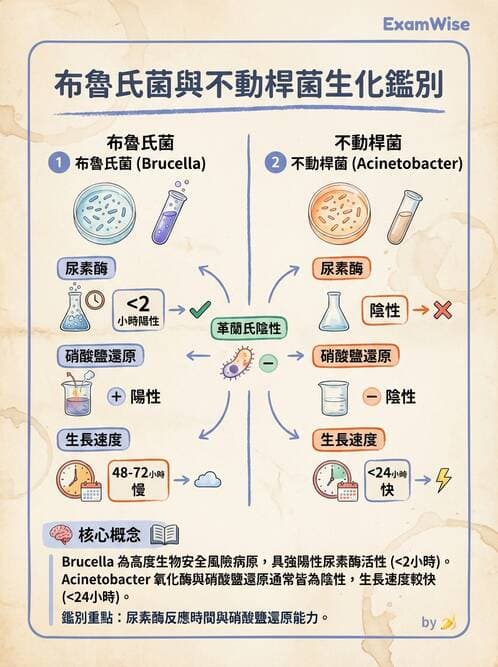 醫檢師 - 奈瑟菌與挑剔性革蘭氏陰性菌 - AI 圖文解析預覽