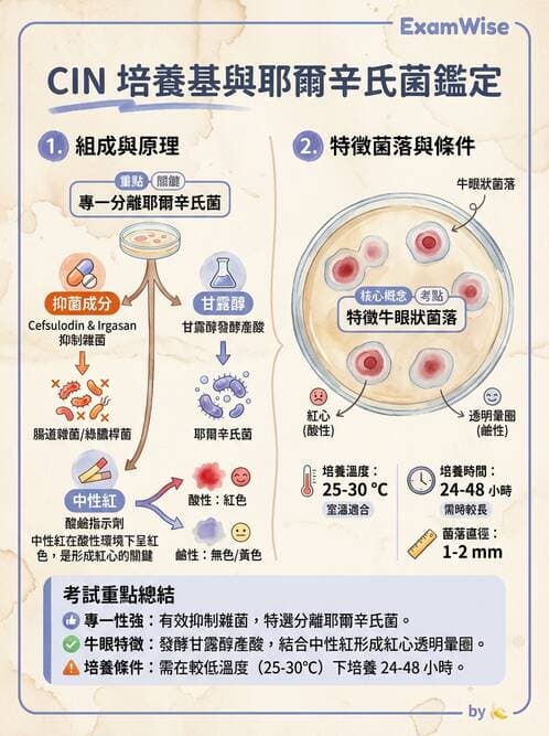 醫檢師 - 腸內菌鑑別方法與培養基 - AI 圖文解析預覽