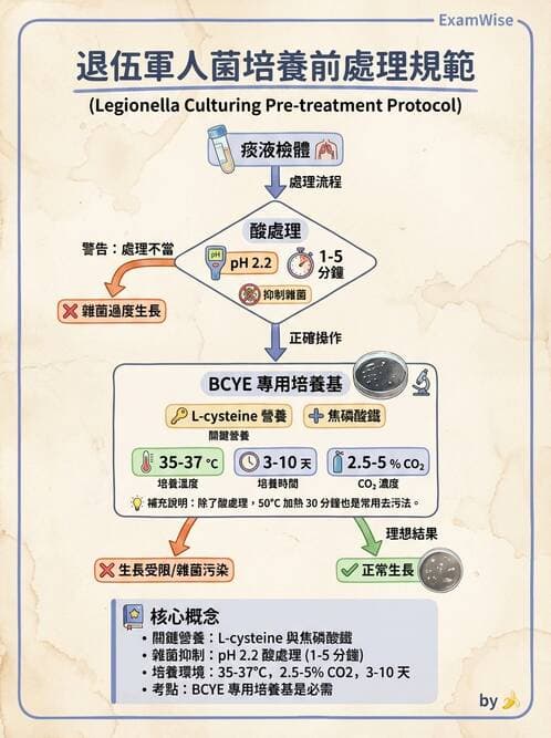醫檢師 - 奈瑟菌與挑剔性革蘭氏陰性菌 - AI 圖文解析預覽