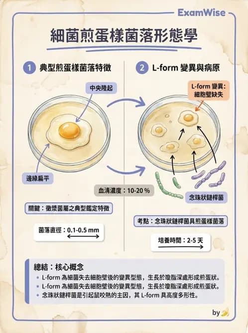 醫檢師 - 特殊病原體 - AI 圖文解析預覽