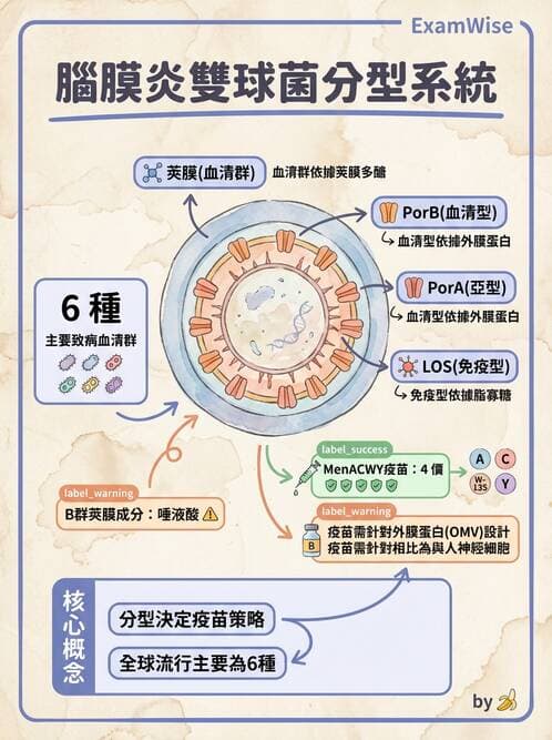 醫檢師 - 奈瑟菌與挑剔性革蘭氏陰性菌 - AI 圖文解析預覽