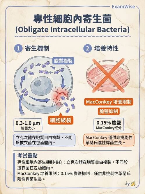 醫檢師 - 特殊病原體 - AI 圖文解析預覽