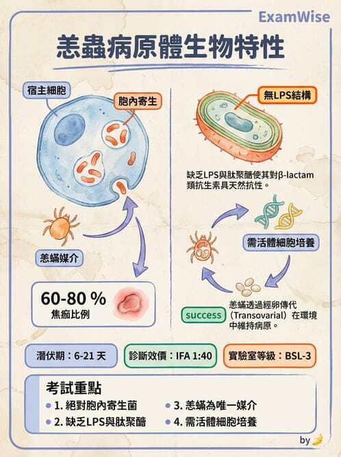 醫檢師 - 特殊病原體 - AI 圖文解析預覽