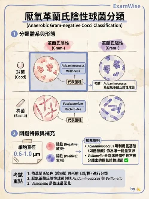醫檢師 - 厭氧菌 - AI 圖文解析預覽