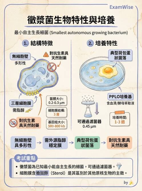 醫檢師 - 特殊病原體 - AI 圖文解析預覽