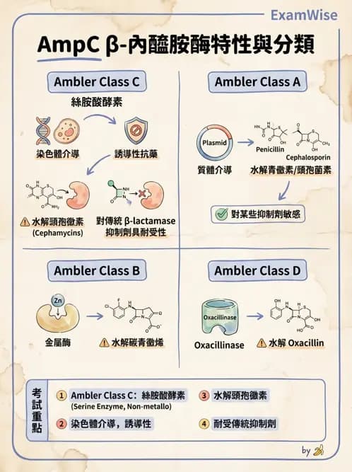 醫檢師 - 抗藥性機制 - AI 圖文解析預覽