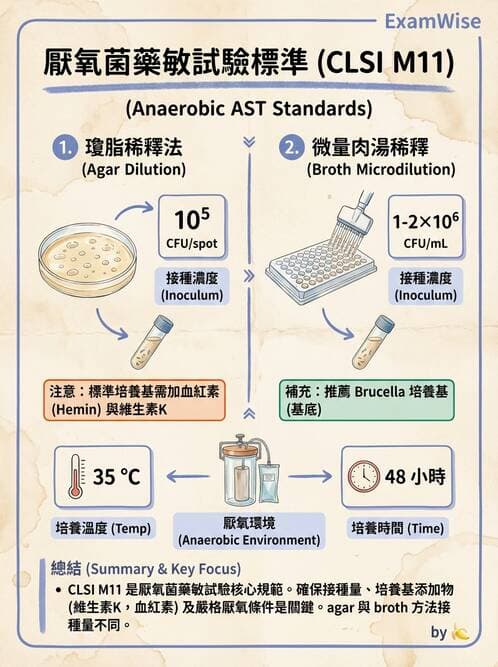 醫檢師 - 藥敏試驗方法 - AI 圖文解析預覽