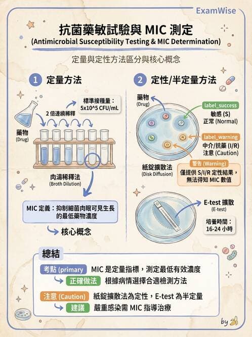 醫檢師 - 藥敏試驗方法 - AI 圖文解析預覽