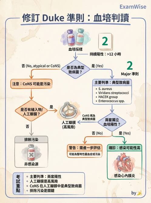 醫檢師 - 葡萄球菌與腸球菌 - AI 圖文解析預覽