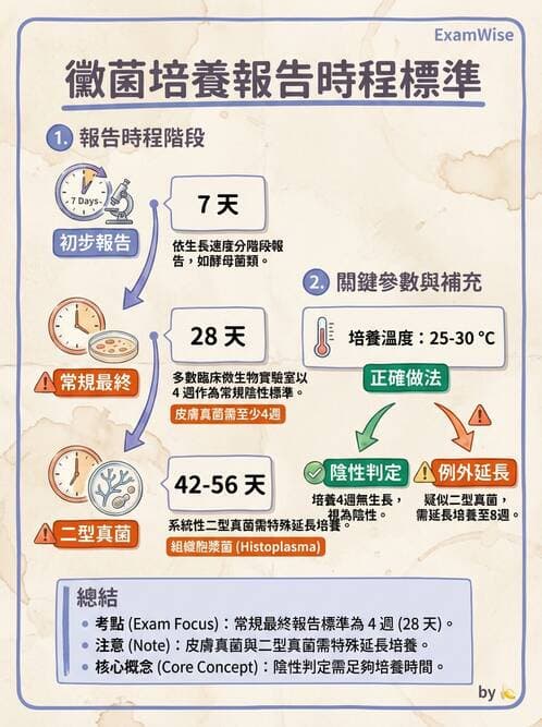 醫檢師 - 真菌診斷與治療 - AI 圖文解析預覽