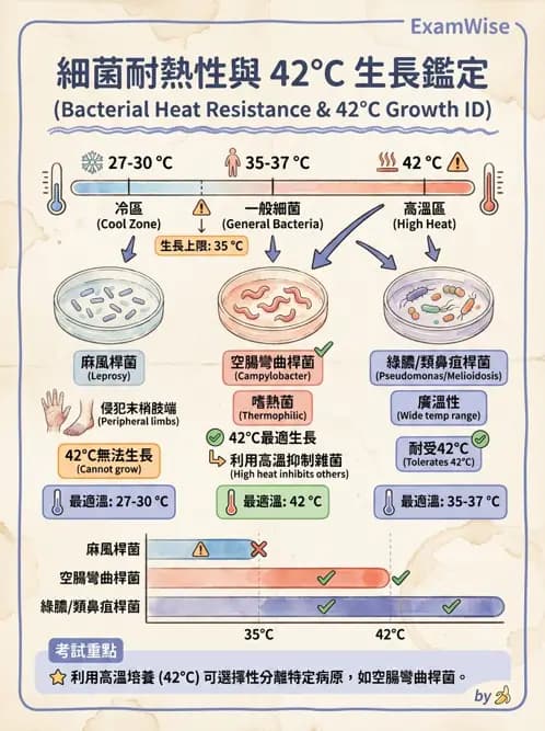 醫檢師 - 綜合性試題 - AI 圖文解析預覽