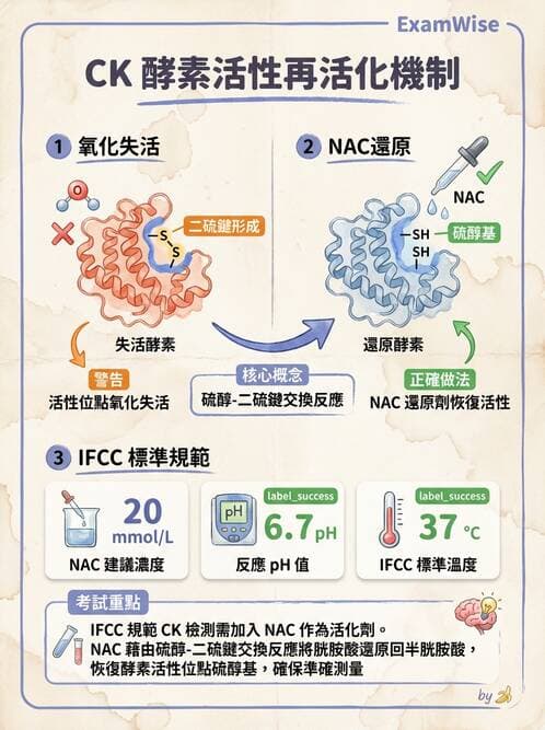 醫檢師 - 臨床酵素學基礎 - AI 圖文解析預覽