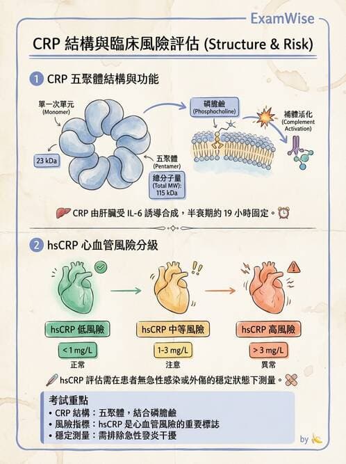 醫檢師 - 血清蛋白與蛋白質檢測 - AI 圖文解析預覽