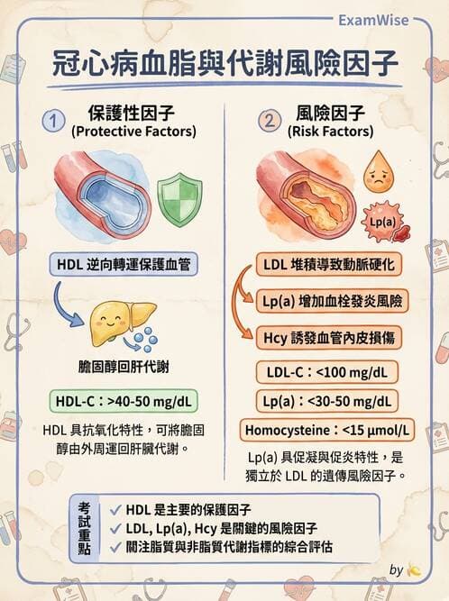 醫檢師 - 脂蛋白分類與臨床應用 - AI 圖文解析預覽