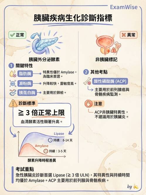 醫檢師 - 肝臟機能與胰臟酵素 - AI 圖文解析預覽