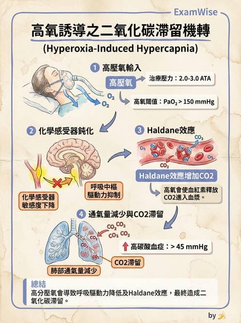 醫檢師 - 血液氣體分析及酸鹼平衡 - AI 圖文解析預覽