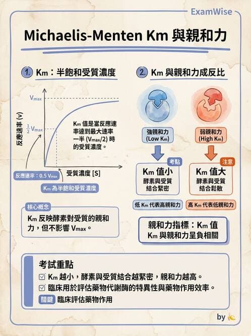 醫檢師 - 臨床酵素學基礎 - AI 圖文解析預覽