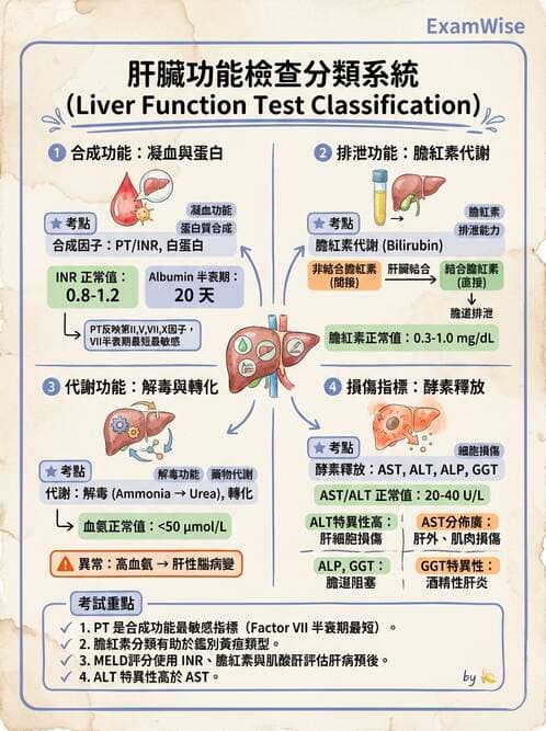 醫檢師 - 肝臟機能與胰臟酵素 - AI 圖文解析預覽