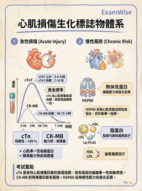 醫檢師 - 心肌標誌與心臟診斷 - AI 圖文解析預覽