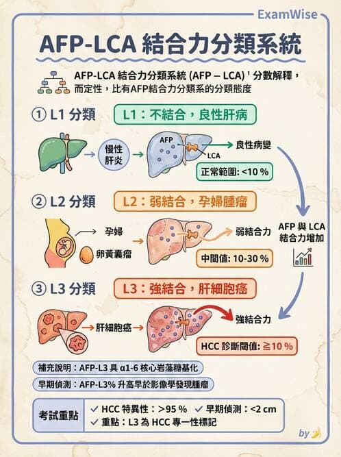 醫檢師 - 腫瘤標誌 - AI 圖文解析預覽
