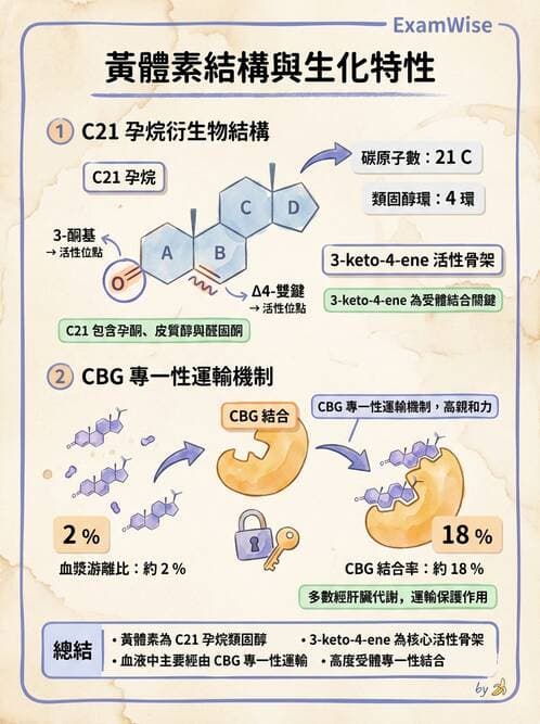 醫檢師 - 腎上腺與生殖內分泌 - AI 圖文解析預覽