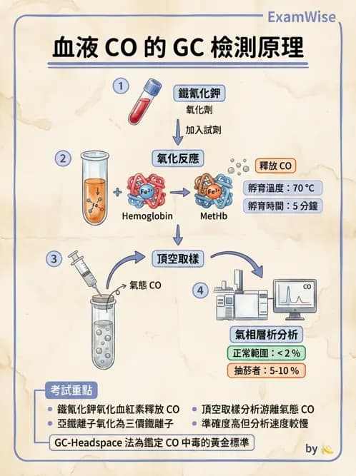 醫檢師 - 治療藥物監測與毒物學 - AI 圖文解析預覽