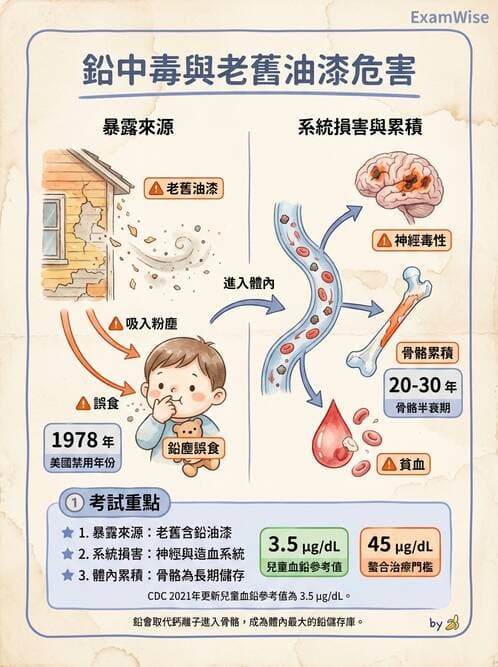 醫檢師 - 治療藥物監測與毒物學 - AI 圖文解析預覽