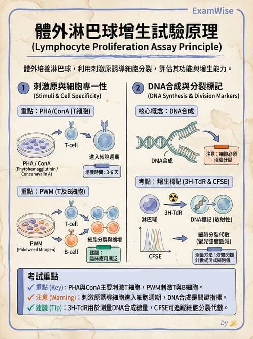 醫檢師 - 實驗室測試免疫法 - AI 圖文解析預覽