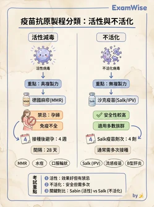 醫檢師 - 腫瘤免疫學免疫療法及疫苗 - AI 圖文解析預覽