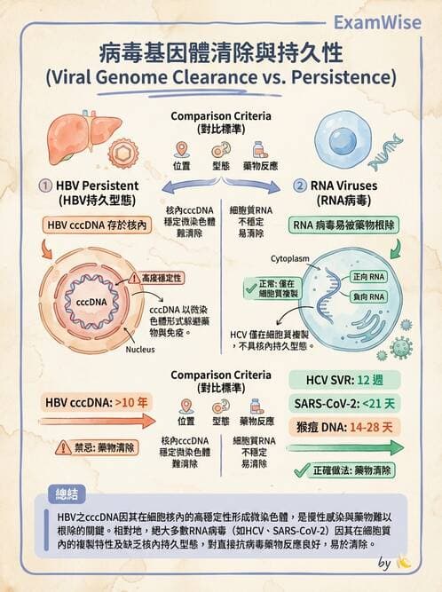 醫檢師 - 抗病毒藥物與疫苗通論 - AI 圖文解析預覽